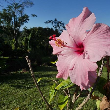 La Joupa Case Anthurium Sainte-Rose Exteriér fotografie