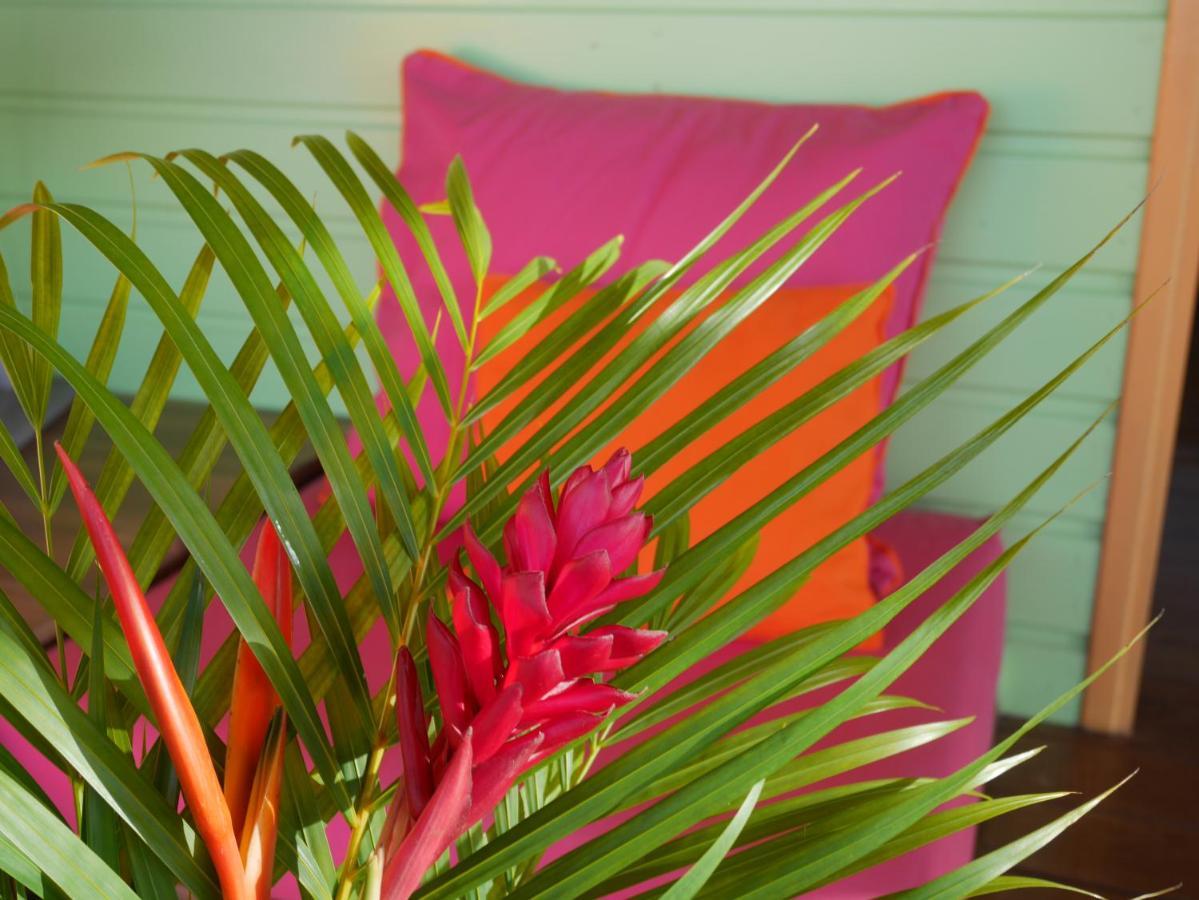 La Joupa Case Anthurium Sainte-Rose Exteriér fotografie