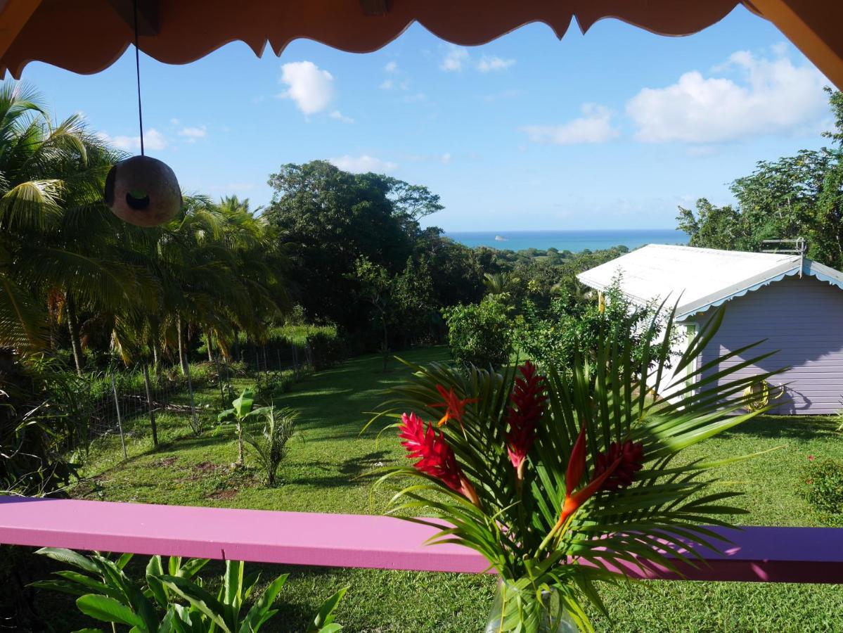 La Joupa Case Anthurium Sainte-Rose Exteriér fotografie