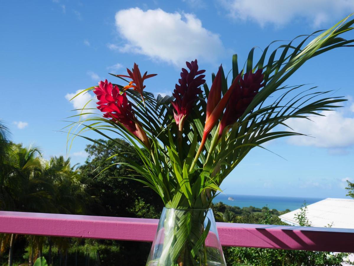 La Joupa Case Anthurium Sainte-Rose Exteriér fotografie